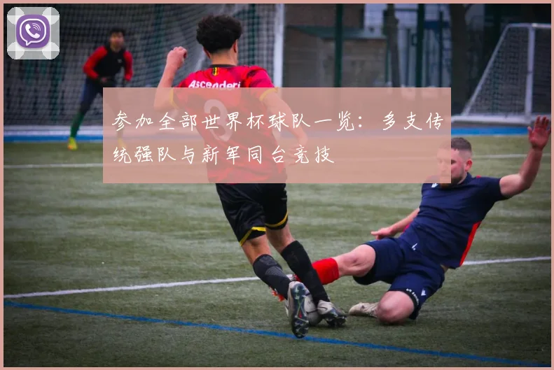 参加全部世界杯球队一览：多支传统强队与新军同台竞技