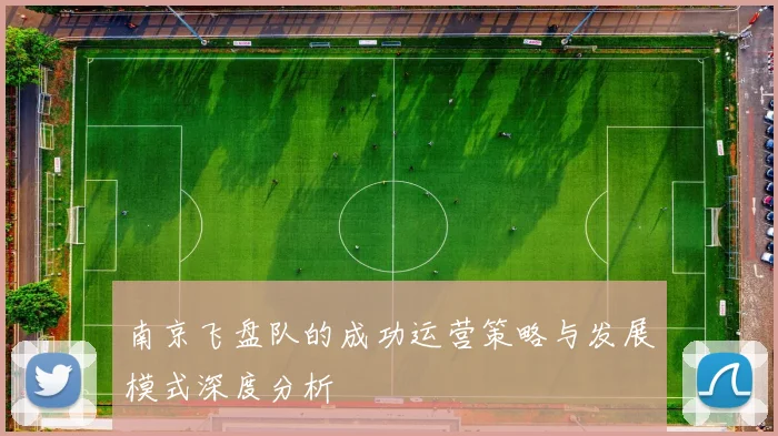 南京飞盘队的成功运营策略与发展模式深度分析