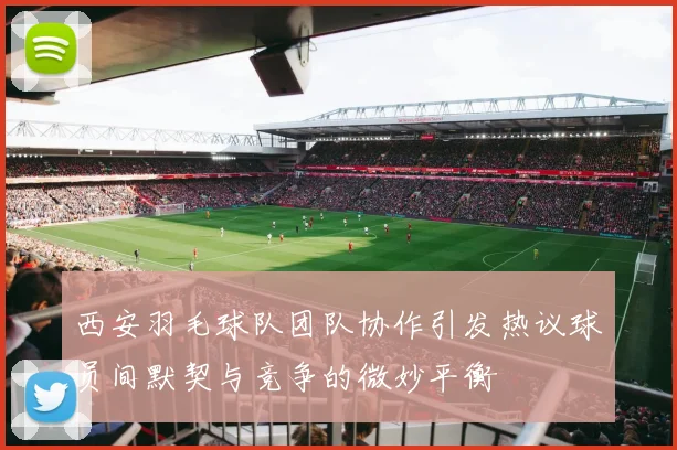 西安羽毛球队团队协作引发热议球员间默契与竞争的微妙平衡